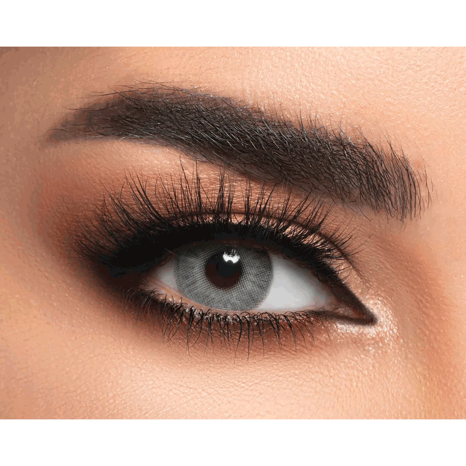 لينس مي عدسات شوجر جراي