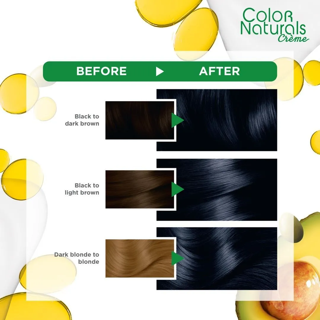 غارنييه كولور ناتشرلز كريم 2.1 صبغة شعر اسود مزرق