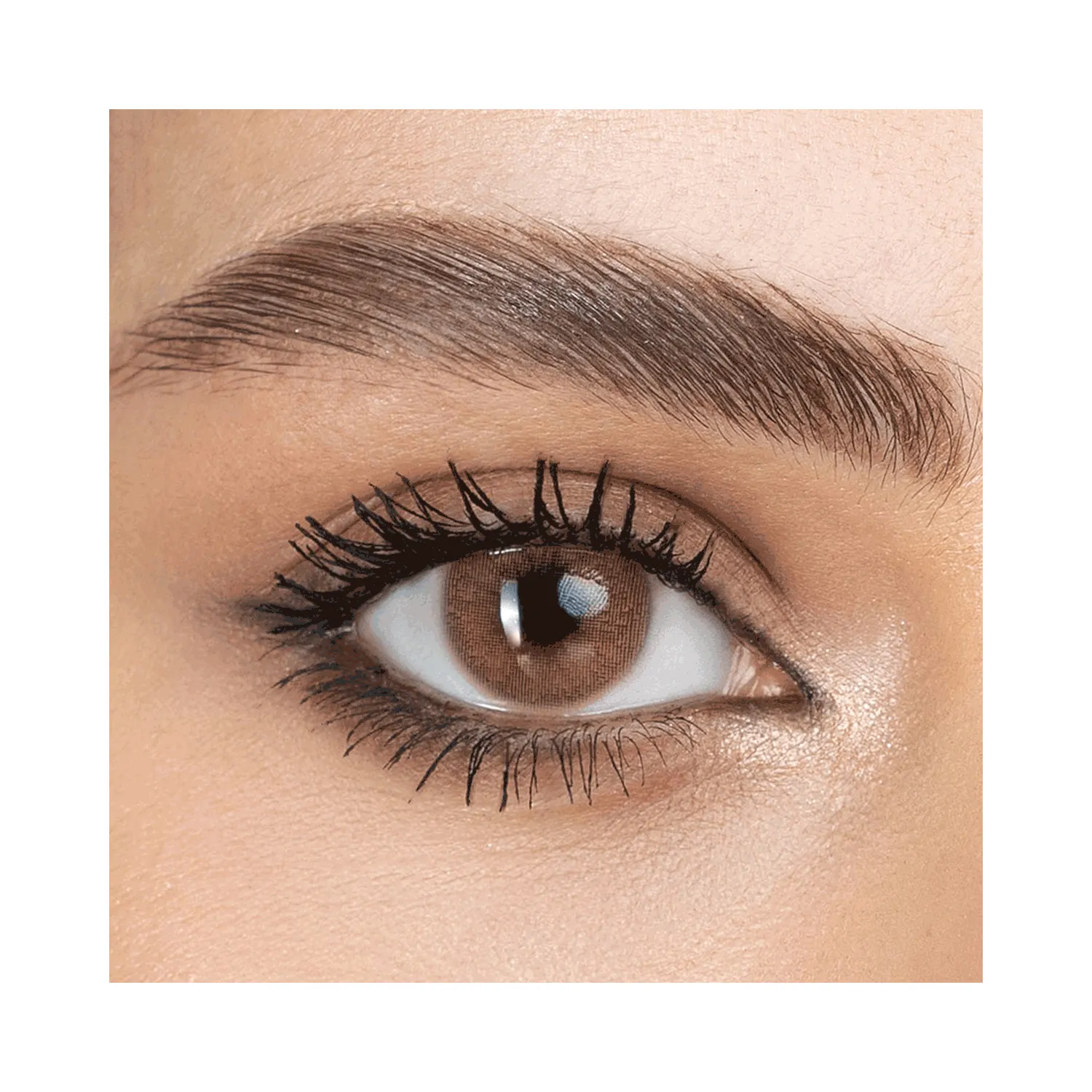 أميزنج عدسات لاصقة دريم