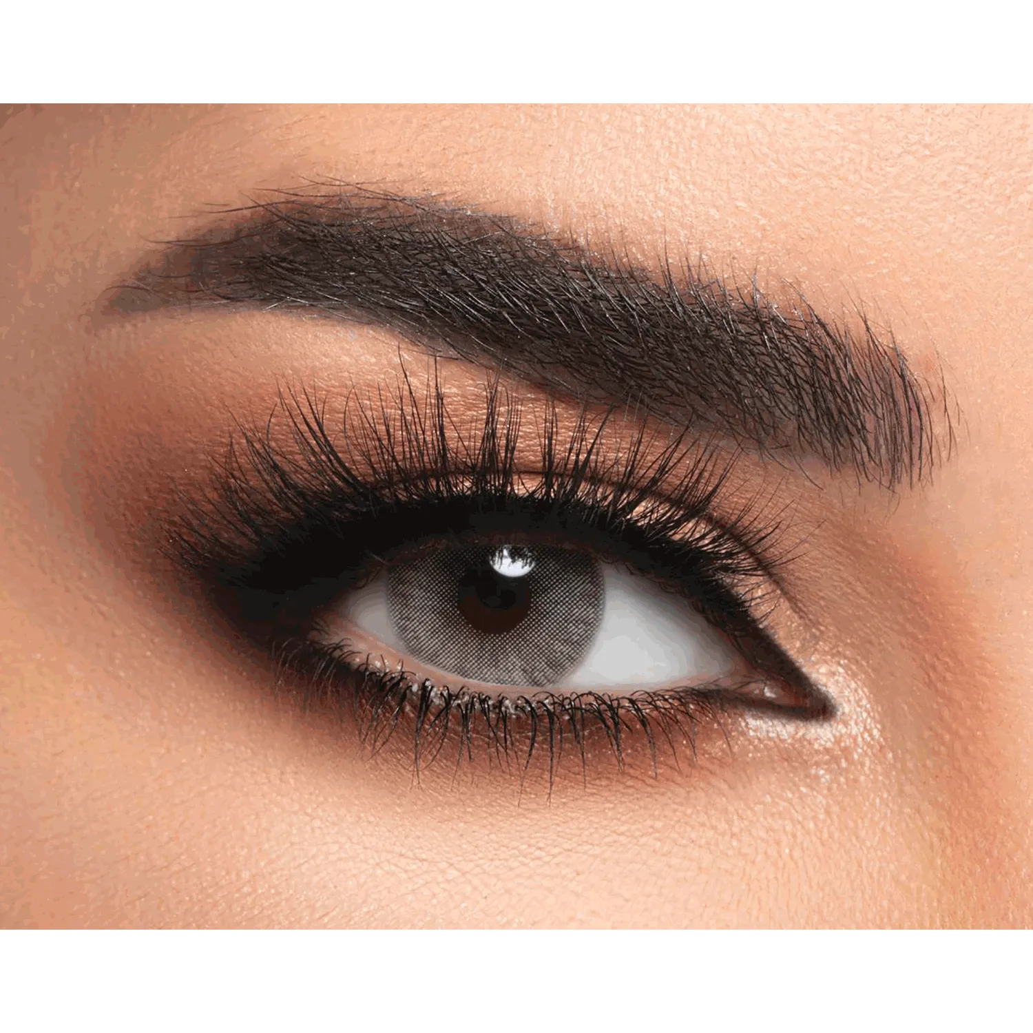 لينس مي عدسات سنوي