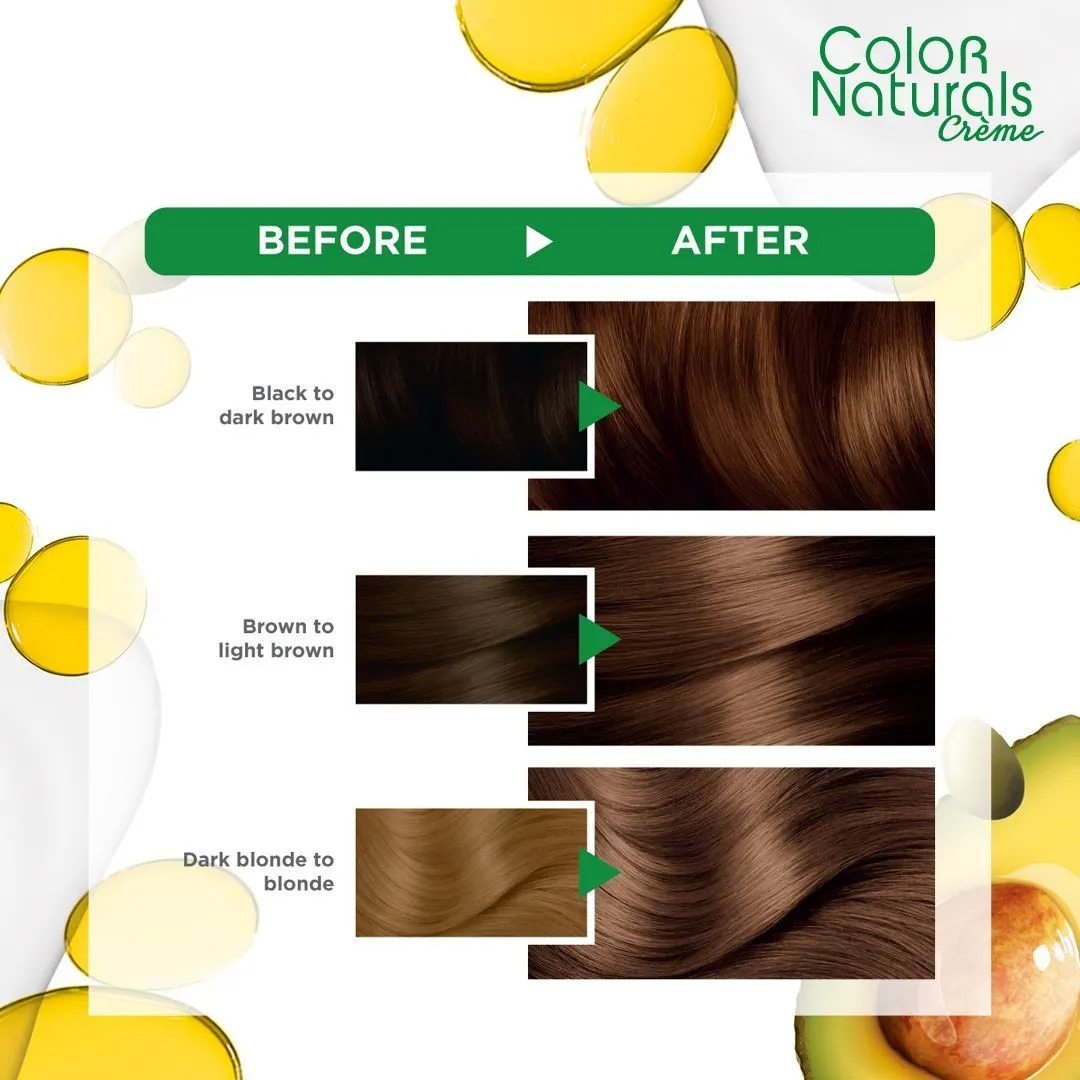 غارنييه كولور ناتشرلز كريم 6.34 صبغة شعر بني شوكولاتة